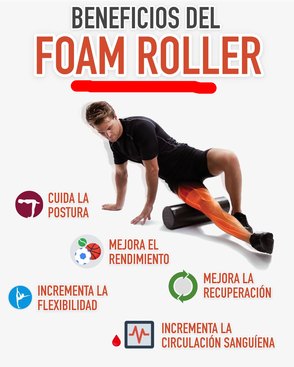 Foam Roller